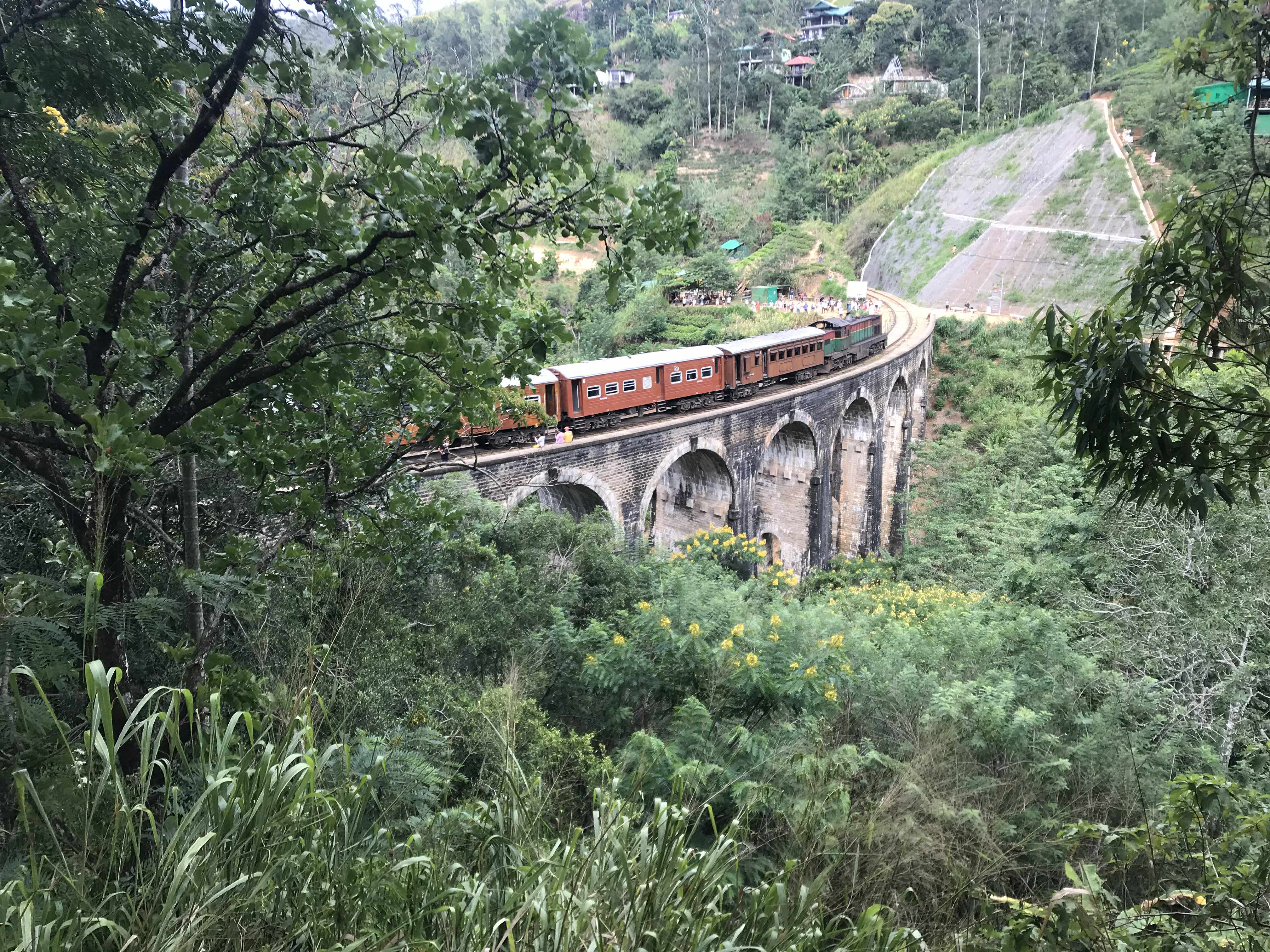 Special moments — Chapman Ceylon Tours